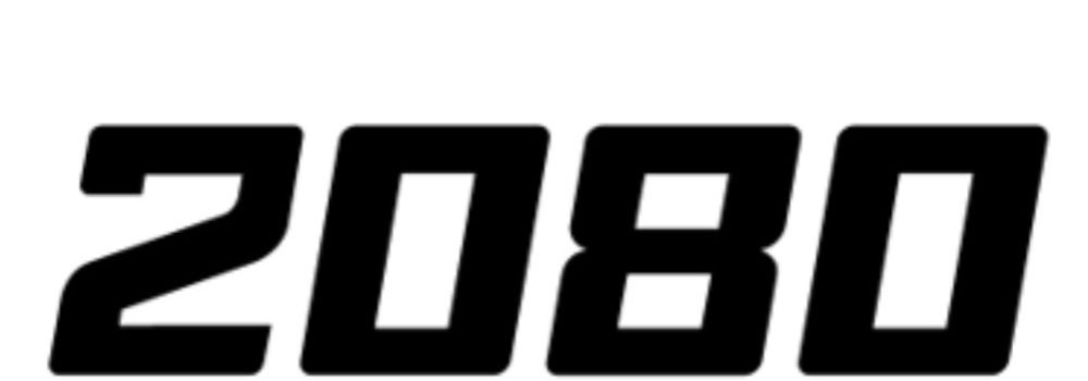 Logo 2080