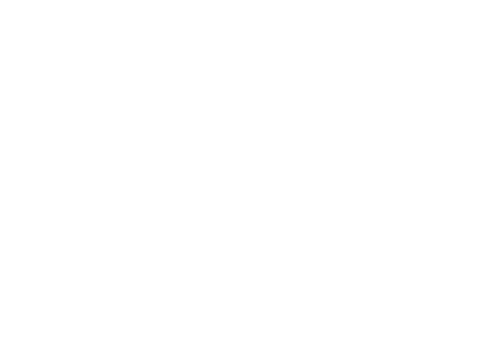 Logo 2P Original White