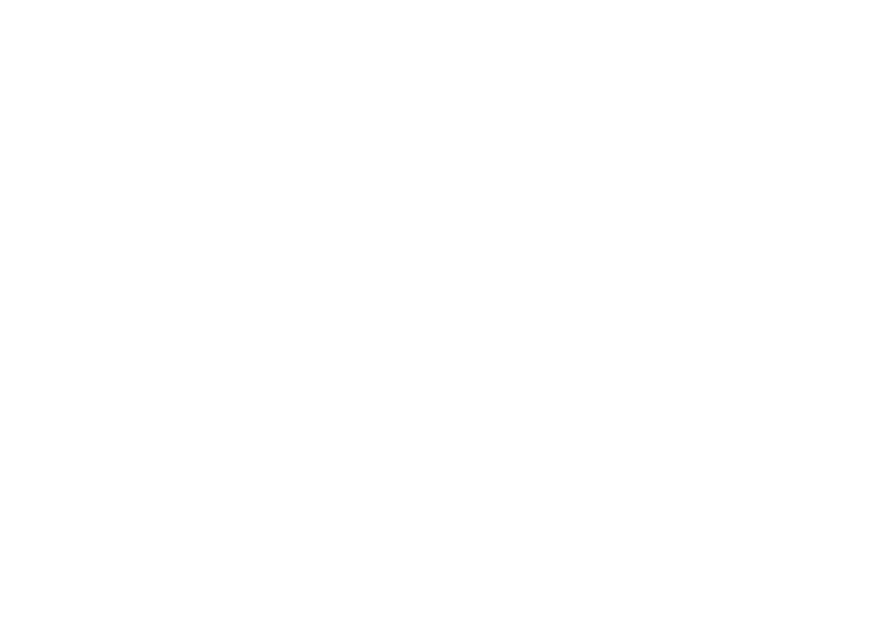Logo Daily Perfection White